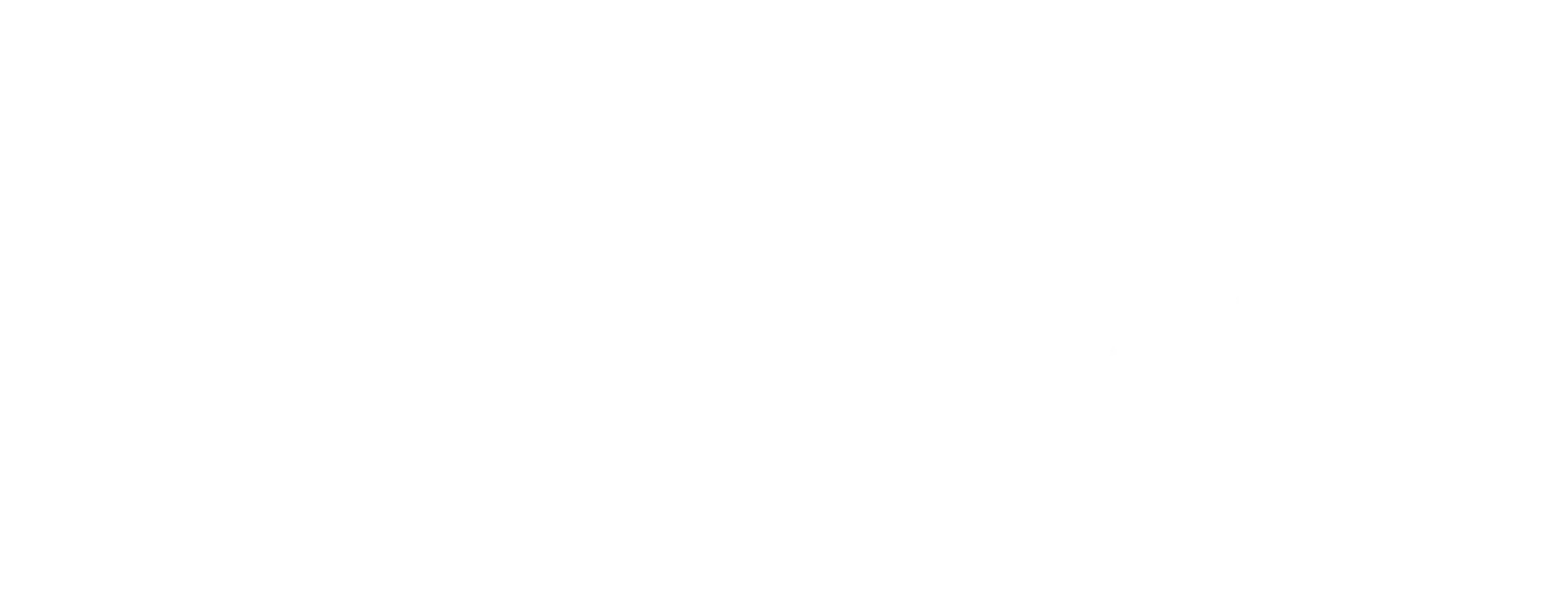 Zynora